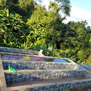 Garden of Coi (Pre-Processing Area), Trang trại của chúng tôi, cà phê Việt Nam, cà phê đặc sản Việt, cà phê hữu cơ Việt, Lâm Đồng, Đà Lạt, Đắk Lắk - 50ha